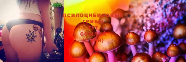 таблы Абаза