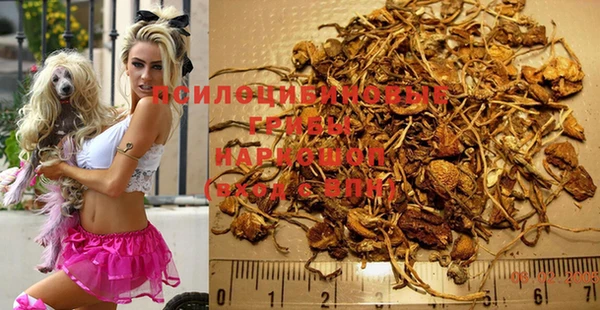 бошки Абинск