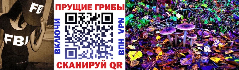 Псилоцибиновые грибы Cubensis  наркошоп  Шлиссельбург 